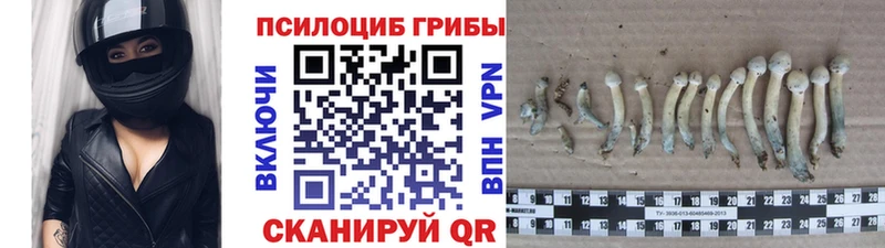 Галлюциногенные грибы мухоморы  Жигулёвск 